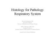 Histology for Pathology Respiratory System