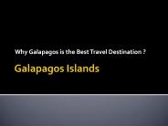 Galapagos Island Attractions
