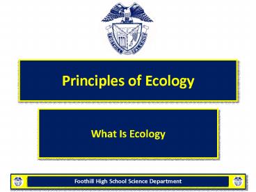 presentation player overlay