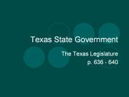 Texas State Government