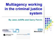 Multiagency working in the criminal justice system