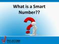 What is a Smart number? PowerPoint PPT Presentation