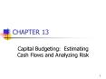 Capital Budgeting: Estimating Cash Flows and Analyzing Risk PowerPoint PPT Presentation