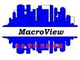 MacroView ? ? ? ? ? PowerPoint PPT Presentation