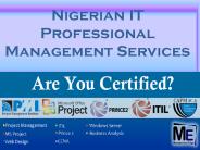 Nigerian IT Professional Management Services
