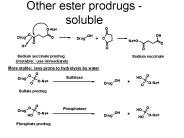 Other ester prodrugs - soluble