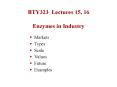 BTY323 Lectures 15, 16 Enzymes in Industry PowerPoint PPT Presentation