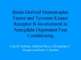 Brain-Derived Neurotrophic Factor and Tyrosine Kinase Receptor B Involvement in Amygdala-Dependent Fear Conditioning Lisa M. Rattiner, Michael Davis, Christopher T. French, and Kerry J. Ressler PowerPoint PPT Presentation