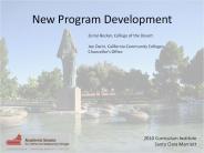 New Program Development