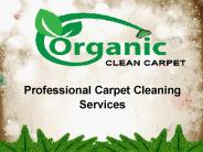 Professional Carpet Cleaning ServiceNY