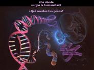 Que revelan tus genes?