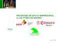 PROGRAMA DE APOYO EMPRESARIAL A LAS PYMES DE MADRID PowerPoint PPT Presentation
