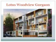 Lotus Woodview Gurgaon Sector 89