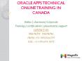 oracle apps technical online training in dubai PowerPoint PPT Presentation