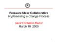 Pressure Ulcer Collaborative Implementing a Change Process Saint Elizabeth Manor March 10, 2009 PowerPoint PPT Presentation