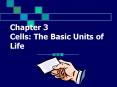 Chapter 3 Cells: The Basic Units of Life PowerPoint PPT Presentation