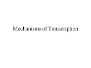Mechanisms of Transcription