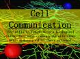 Cell Communication For cells to function in a biological system, they must communicate with other cells and respond to their external environment. PowerPoint PPT Presentation
