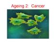 Ageing 2: Cancer PowerPoint PPT Presentation