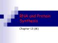 RNA and Protein Synthesis PowerPoint PPT Presentation