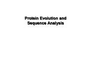 Protein Evolution and