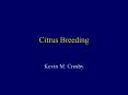 Citrus Breeding PowerPoint PPT Presentation