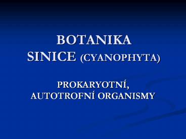 BOTANIKA SINICE (CYANOPHYTA)