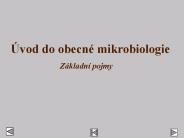 Bez nadpisu