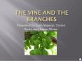 The Vine and the Branches PowerPoint PPT Presentation