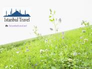Istanbul City Tour