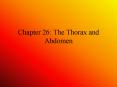 Chapter 26: The Thorax and Abdomen PowerPoint PPT Presentation