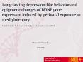 Long-lasting depression-like behavior and epigenetic changes of BDNF gene expression induced by perinatal exposure to methylmercury PowerPoint PPT Presentation