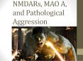 NMDARs, MAO A, and Pathological Aggression PowerPoint PPT Presentation