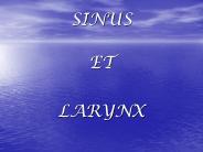 SINUS