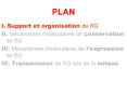 PLAN PowerPoint PPT Presentation
