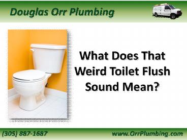 What Does Your Weird Toilet Flush Sound Mean?