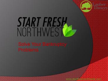 debt settlement lawyer in Everett