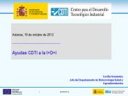 Plantilla de Power Point para presentaciones CDTI
