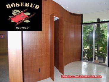 Wood Veneer and Veneers