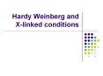 Hardy Weinberg and X-linked conditions PowerPoint PPT Presentation