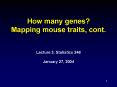 How many genes? Mapping mouse traits, cont. PowerPoint PPT Presentation