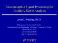 Neuromorphic Signal Processing for Auditory Scene Analysis PowerPoint PPT Presentation