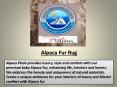Alpaca Fur Rug PowerPoint PPT Presentation