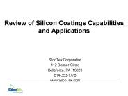 Review of Silicon Coatings Capabilities and Applications