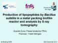 Production of lipopeptides by Bacillus subtilis in a metal packing biofilm reactor and analysis by X-ray tomography PowerPoint PPT Presentation