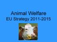 Animal Welfare EU Strategy 2011-2015 PowerPoint PPT Presentation