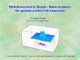Multidimensional de Broglie - Bohm dynamics: the quantum motion with trajectories PowerPoint PPT Presentation