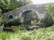 15 Tiempo Ordinario -B-