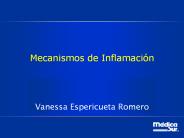 Mecanismos de Inflamaci