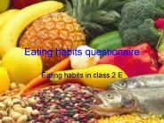 Eating habits questionaire